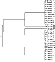 Jundishapur Journal of Microbiology