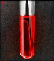 Jentashapir Journal of Cellular and Molecular Biology 