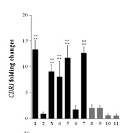 Jundishapur J Microbiol
