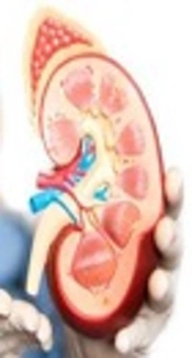 Prognosis and Early Prediction of Acute Kidney Injury in Critically Ill Children