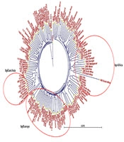 Archives of Clinical Infectious Diseases