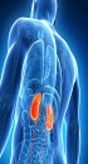 Nutrition and Diabetes, Cardiovascular and Chronic Kidney Diseases: Findings from 20 Years of the Tehran Lipid and Glucose Study
