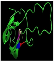 Jentashapir Journal of Cellular and Molecular Biology
