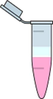 Optimized Storage Methods of RNA Extraction from Formalin Fixed Paraffin Embedded Tissue