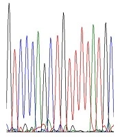 Trends in Med Sci