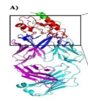 Iran J Pharm Res