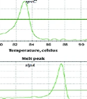 Jundishapur J Microbiol