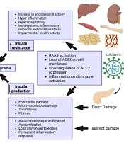 Int J Endocrinol Metab