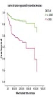 Survival Status and Predictors of Loss to Follow-up Among Adult Patients with Tuberculosis in Public Health Facilities of Sheka Zone, South-West Ethiopia: Facility-Based, Retrospective Cohort Study
