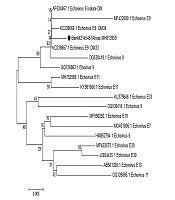 Archives of Clinical Infectious Diseases