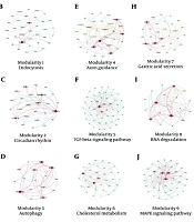 Jundishapur J Microbiol