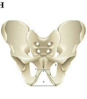 Compr Health Biomed Stud