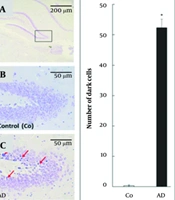 Arch Clin Infect Dis