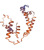 Jundishapur J Microbiol