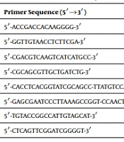 Jundishapur J Microbiol