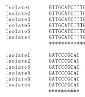 Jundishapur Journal of Microbiology