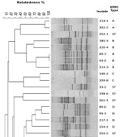 Archives of Clinical Infectious Diseases