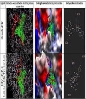 Jentashapir Journal of Cellular and Molecular Biology