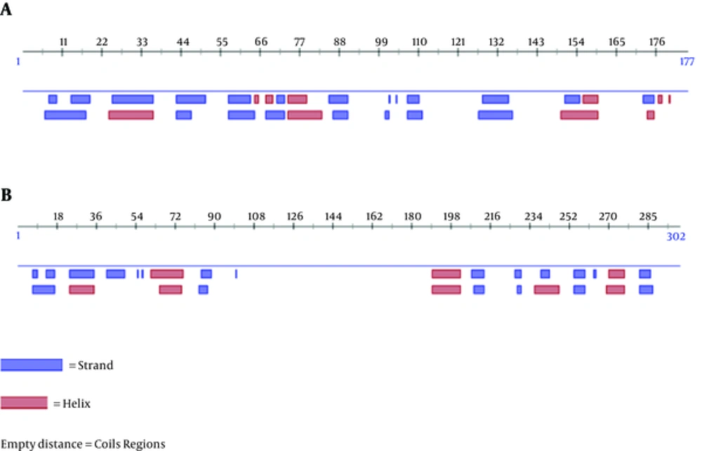 Secondary Structure Diagram by Protein Predict. Primary Construct (A), Final Construct (B) Secondary Structure Diagram by Protein Predict. Primary Construct (A), Final Construct (B)
