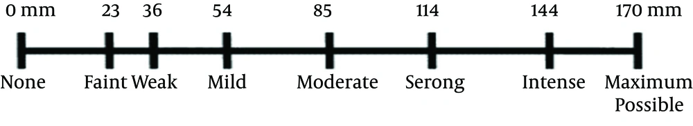 Heft-Parker VAS Used for the Assessment of Pain. The Millimeter Demarcation (Numbers) Was Not Shown on the VAS Used by Patients. Heft-Parker VAS Used for the Assessment of Pain. The Millimeter Demarcation (Numbers) Was Not Shown on the VAS Used by Patients.