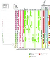 Jundishapur J Microbiol