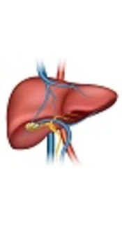 https://theultimatecaregivingexpert.com/2017/08/08/how-to-care-for-your-senior-loved-one-with-liver-failure/