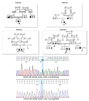 Precis Med Clin OMICS