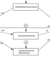 International Journal of High Risk Behaviors and Addiction