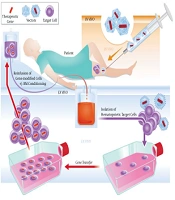 Gene Cell Tissue