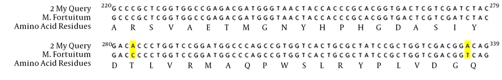 My Query: <i>M. fortuitum</i> Sensitive to Ciprofloxacin <i>M. fortuitum</i>, <i>M. fortuitum</i> ATCC 6841. The amino acid sequence of <i>M. fortuitum</i> sensitive to ciprofloxacin was 100% similar to <i>M. fortuitum</i> ATCC 6841(AJ564392.1).