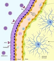 Arch Neurosci