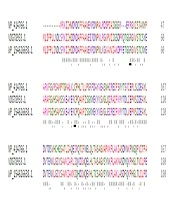 Jundishapur J Microbiol