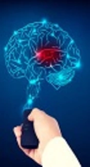 https://www.thebestbrainpossible.com/brain-neuroplasticity-mental-health/