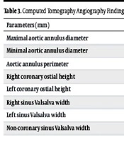 Int Cardiovasc Res J
