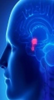 https://virily.com/beauty-health/all-you-need-to-know-about-hypopituitarism/