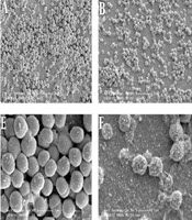 Jundishapur Journal of Microbiology