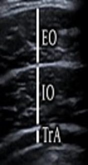 91039