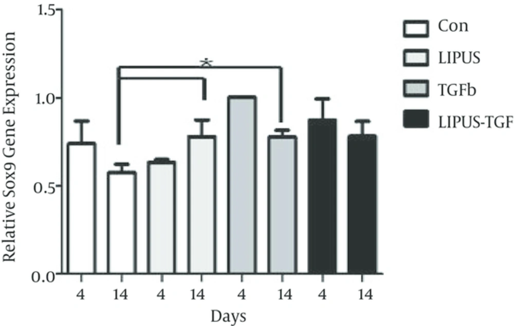 Effects of LIPUS, TGF-β, and Their Combination on SOX9 Gene Expression in ASC at Day 4 and 14 Effects of LIPUS, TGF-β, and Their Combination on SOX9 Gene Expression in ASC at Day 4 and 14