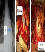 Multidisciplinary Cardiovascular Annals