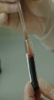 https://pxhere.com/en/photo/1358260