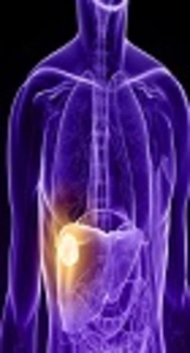 https://www.thermofisher.com/blog/proteomics/metabolic-profiling-of-hepatocellular-carcinoma/