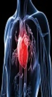 Gain-of-Function R990G Polymorphism of the Calcium-Sensing Receptor Gene: Gender-Related Effects in Patients with Coronary Heart Disease