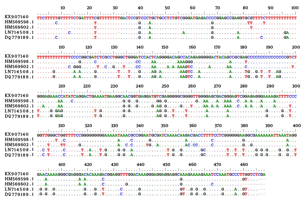 Alignment of 529 bp Sequence of <i>T. gondii</i> Isolated from the Wild Boars KX907140, <i>T. gondii</i> isolated from the wild boars (current study); HM569598.1 and HM569602.1, <i>T. gondii</i> isolated from a rat in Tehran, Iran; LN714508.1, <i>T. gondii</i> VEG strain; DQ779189.1, <i>T. gondii</i> PYS strain (China).