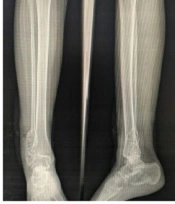 J Skin Stem Cell