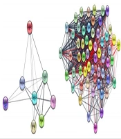 International Journal of Cancer Management
