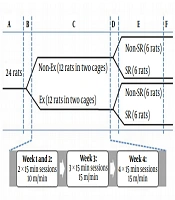 Annals of Military and Health Sciences Research