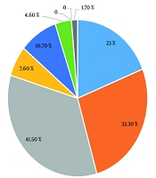 Int J High Risk Behav Addict