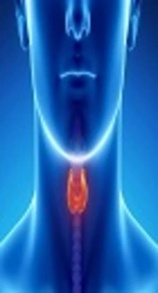 Hypothyroidism and Hypoparathyroidism in Thalassemia Major Patients: A Study in Sistan and Baluchestan Province, Iran