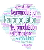 Int Pain Med Neuromod