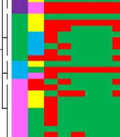 Jundishapur J Microbiol